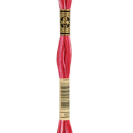 DMC Mouliné Spécial broderigarn