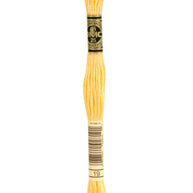 DMC Mouliné Spécial broderigarn