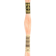 DMC Mouliné Spécial broderigarn