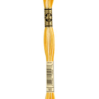 DMC Mouliné Spécial broderigarn