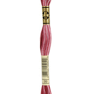 DMC Mouliné Spécial broderigarn