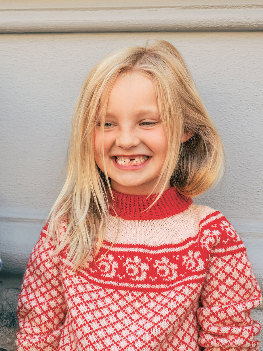 2509_1 Blome genser Norske ikoner junior - kit