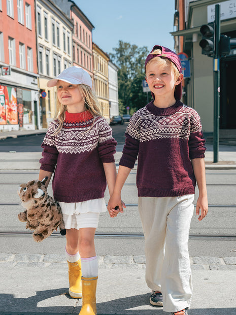 2509_4b Setesdal genser Norske ikoner junior - kit