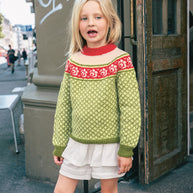 2509_5 Blome genser Norske ikoner junior kit