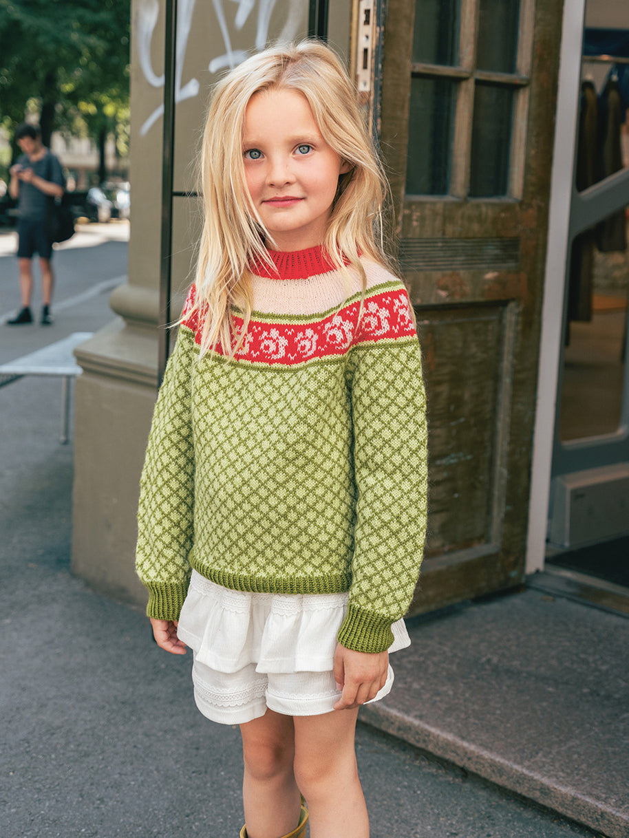 2509_5 Blome genser Norske ikoner junior kit