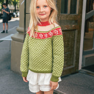 2509_5 Blome genser Norske ikoner junior kit