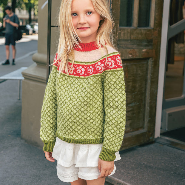 2509_5 Blome genser Norske ikoner junior kit