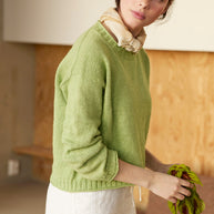 Disen sommergenser 520 Rauma - beskrivning